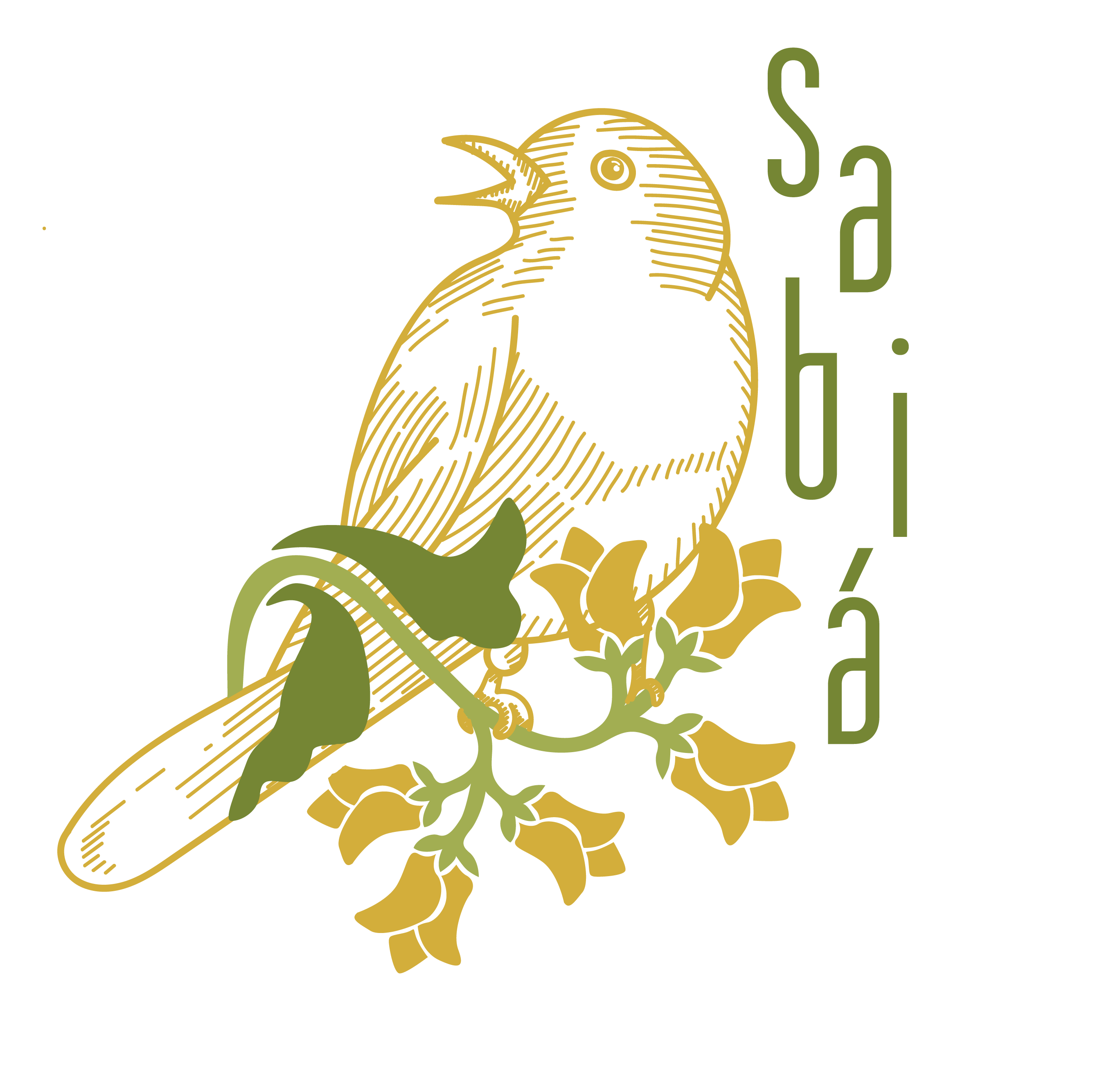 Logo for Spa